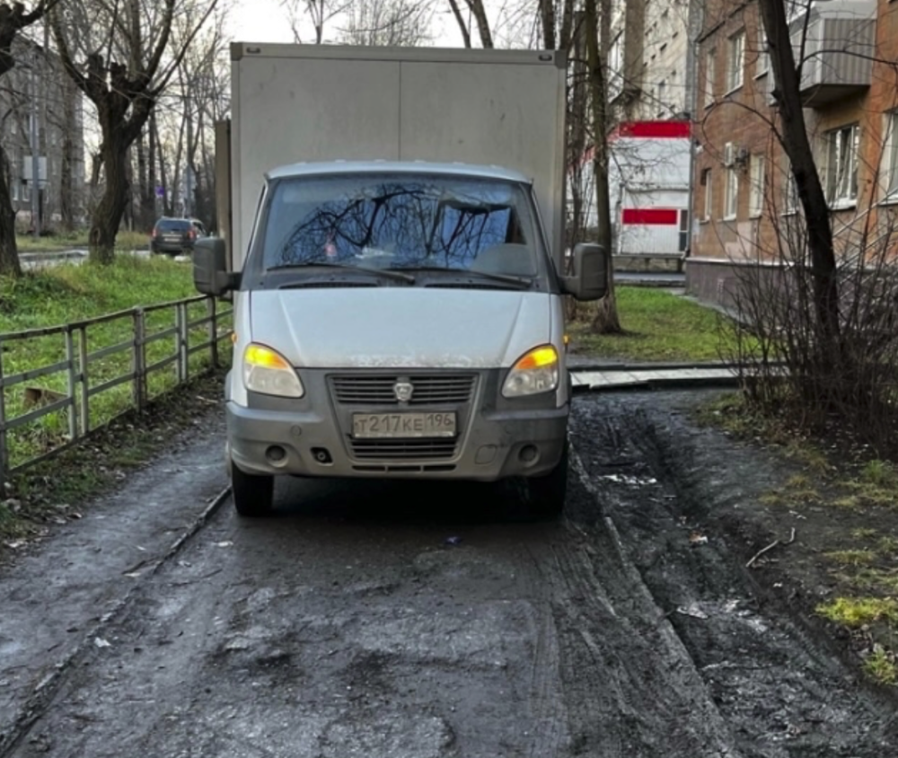     Фото: vk.com/pinaev_vladislav