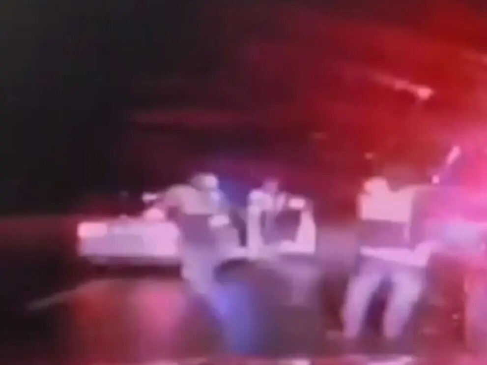    Фото: кадр видео ГУ МВД по Петербургу и Ленобласти