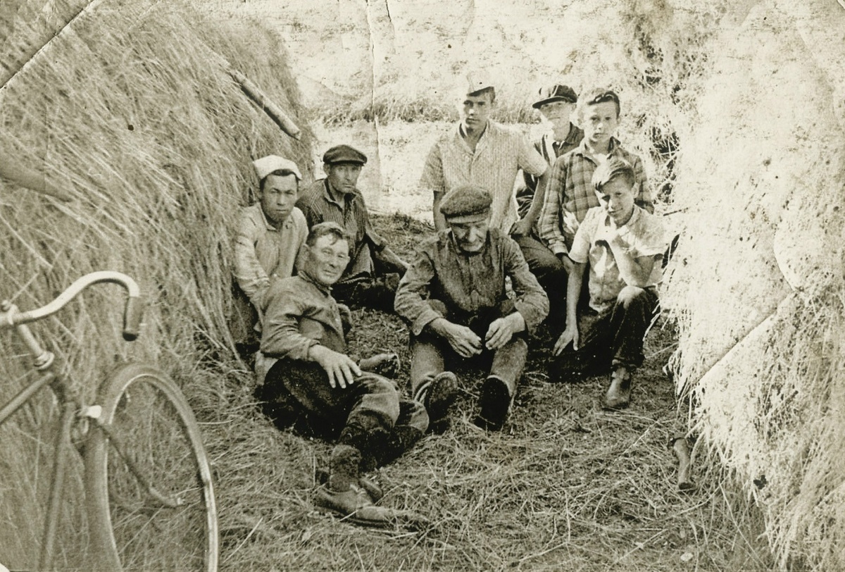 На сенокосе