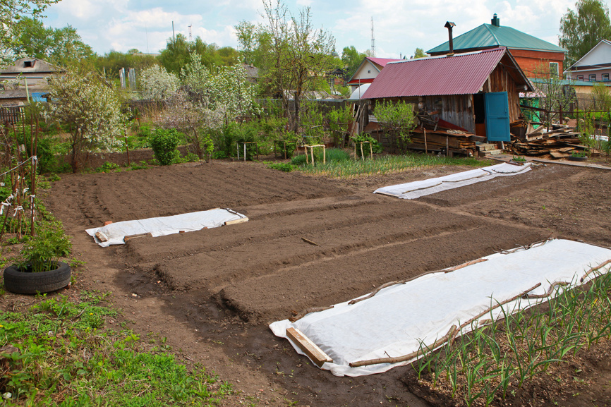 Ухоженный земельный участок