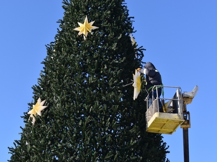     Чудеса края поселятся на центральной площади Хабаровска. Фото: Екатерина Подпенко