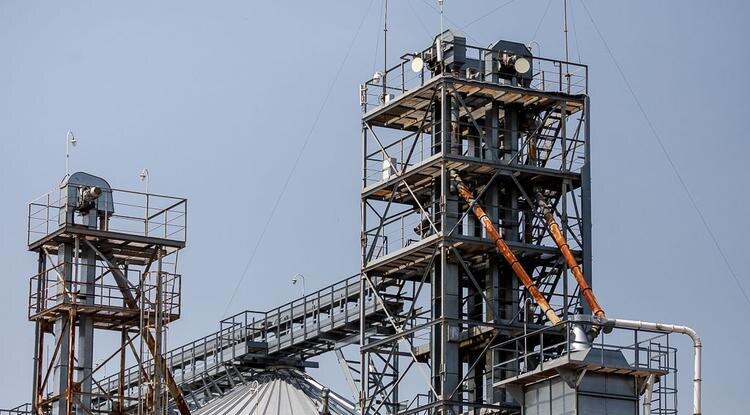 Фото: Павел Колядин