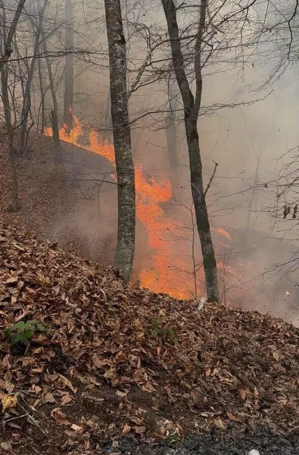 © Photo : press office of the Berd Municipality