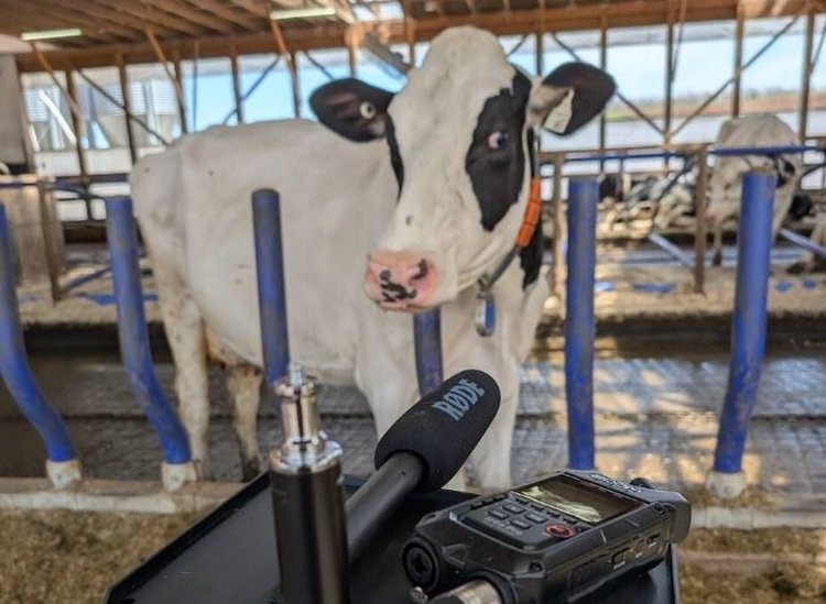    Фото: Suresh Neethirajan, Dalhousie University