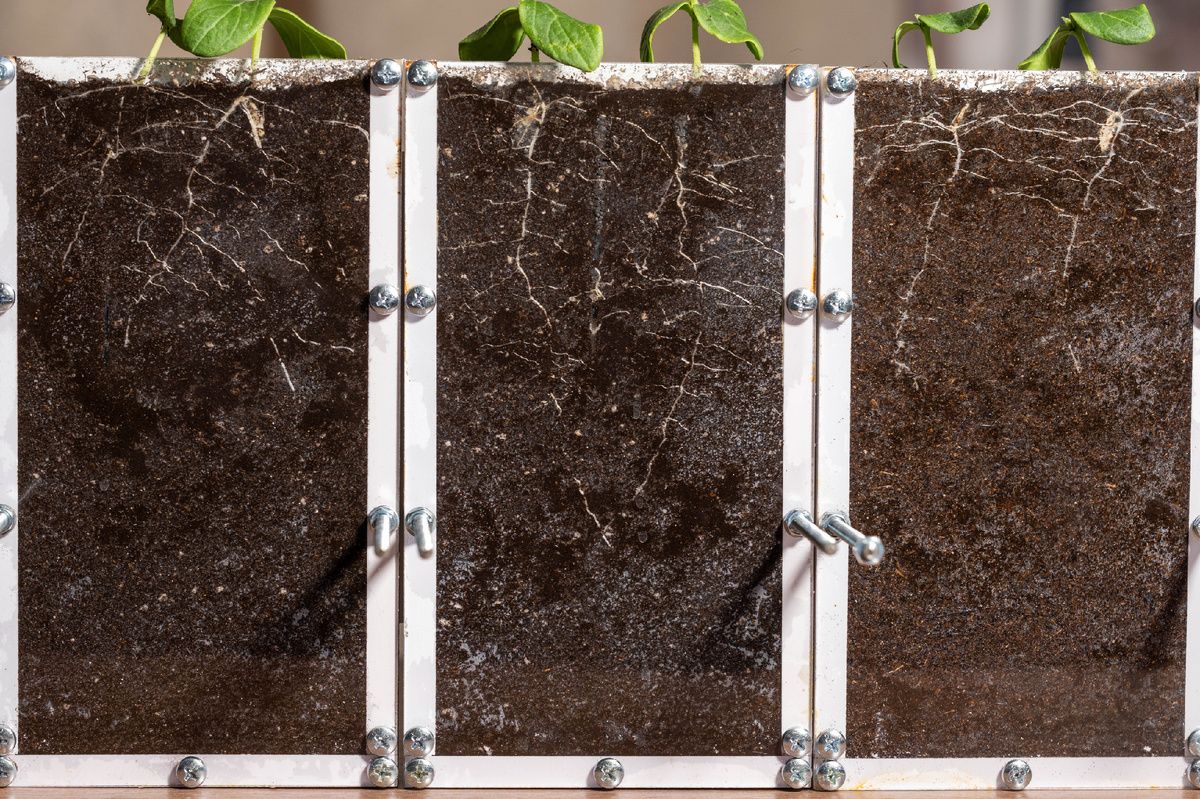 Все фото авторские, копирование и дальнейшее использование с коммерческой целью - запрещены