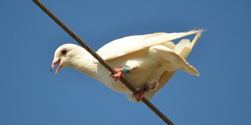 Этот парень явно прицелился пятой точкой по заданию оператора.