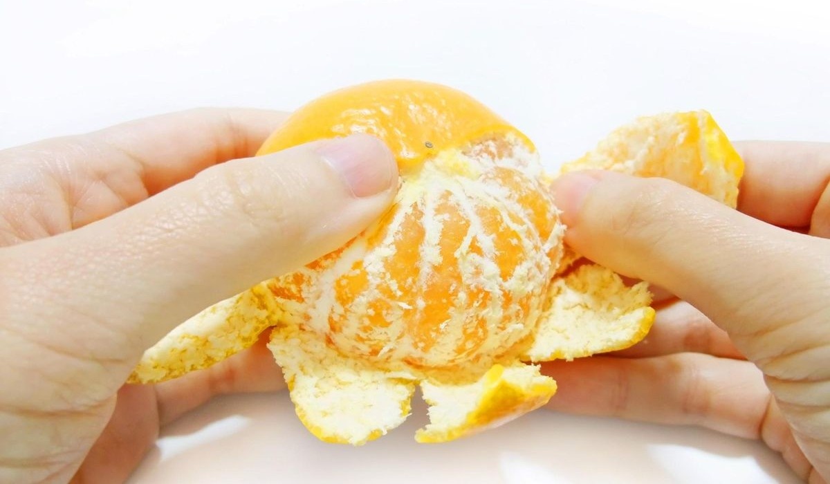 Фото: южнокорейская газета The Korea Times