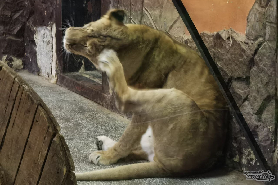    Фото: Ксения Жигалова © ИА «Уральский меридиан»