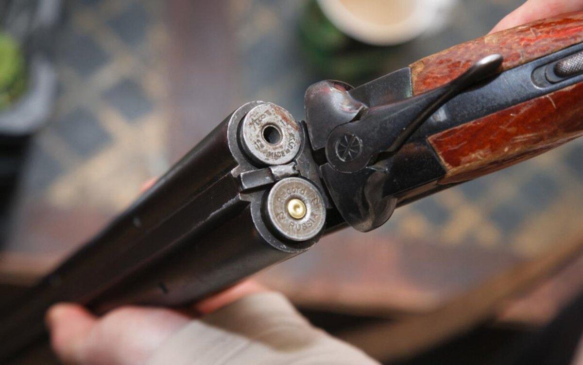    Двух жителей Удмуртии осудили за незаконную охоту