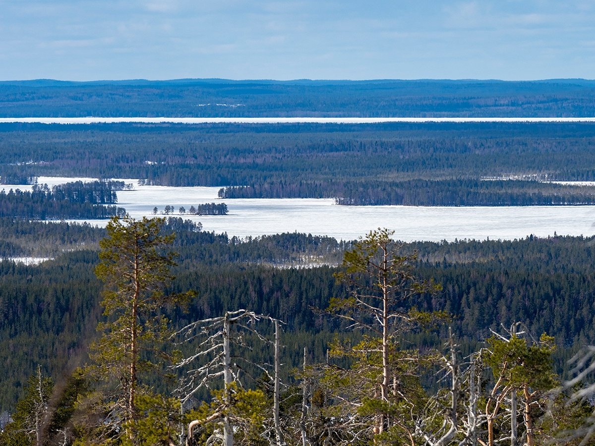    фото: © Игорь Подгорный