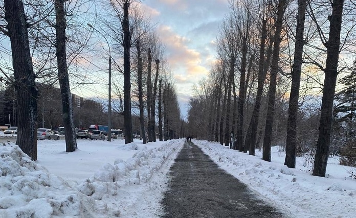    Фото из ТГ-канала прокуратуры Новосибирской области