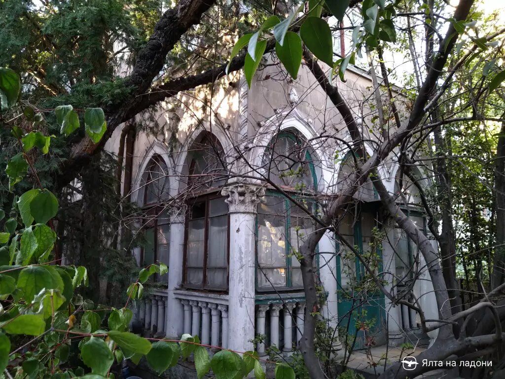 фото с яндекс