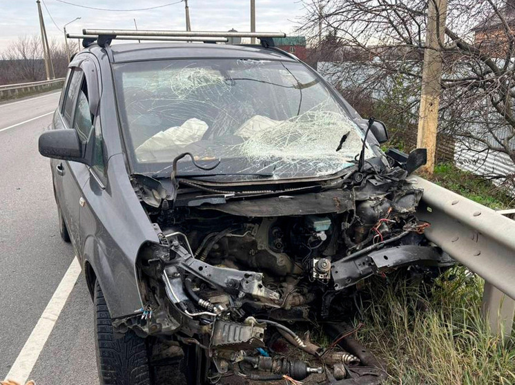     фото: Официальный канал Госавтоинспекции Липецкой области