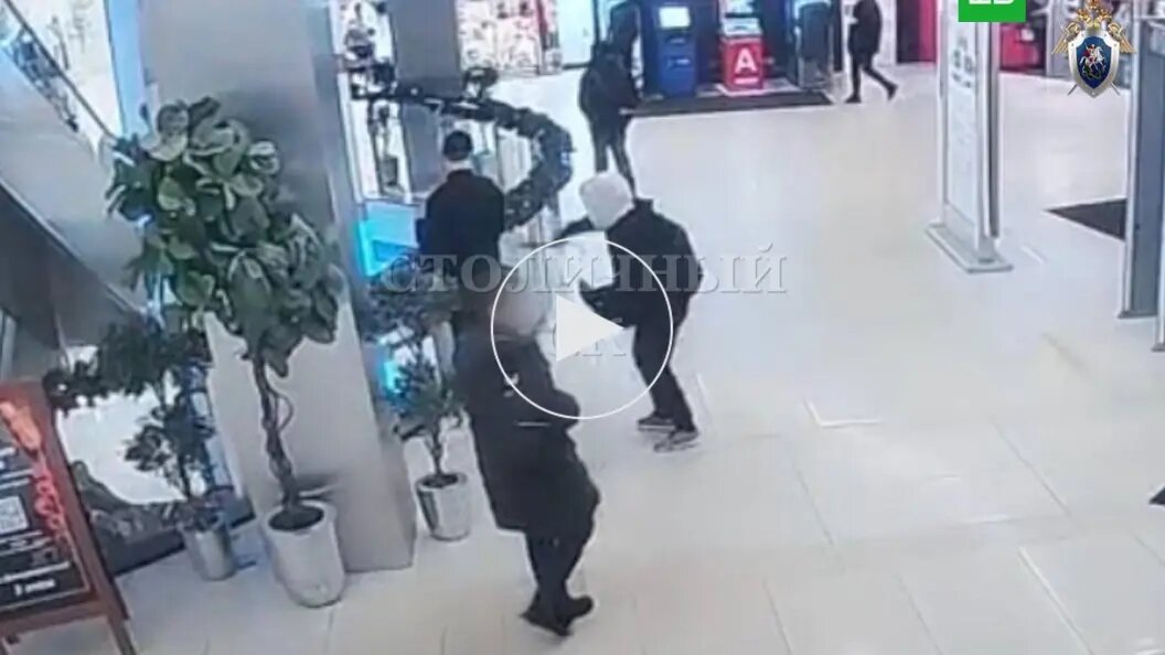    фото: ТГ-канал "Столичный", скриншот видео с камер видеонаблюдения