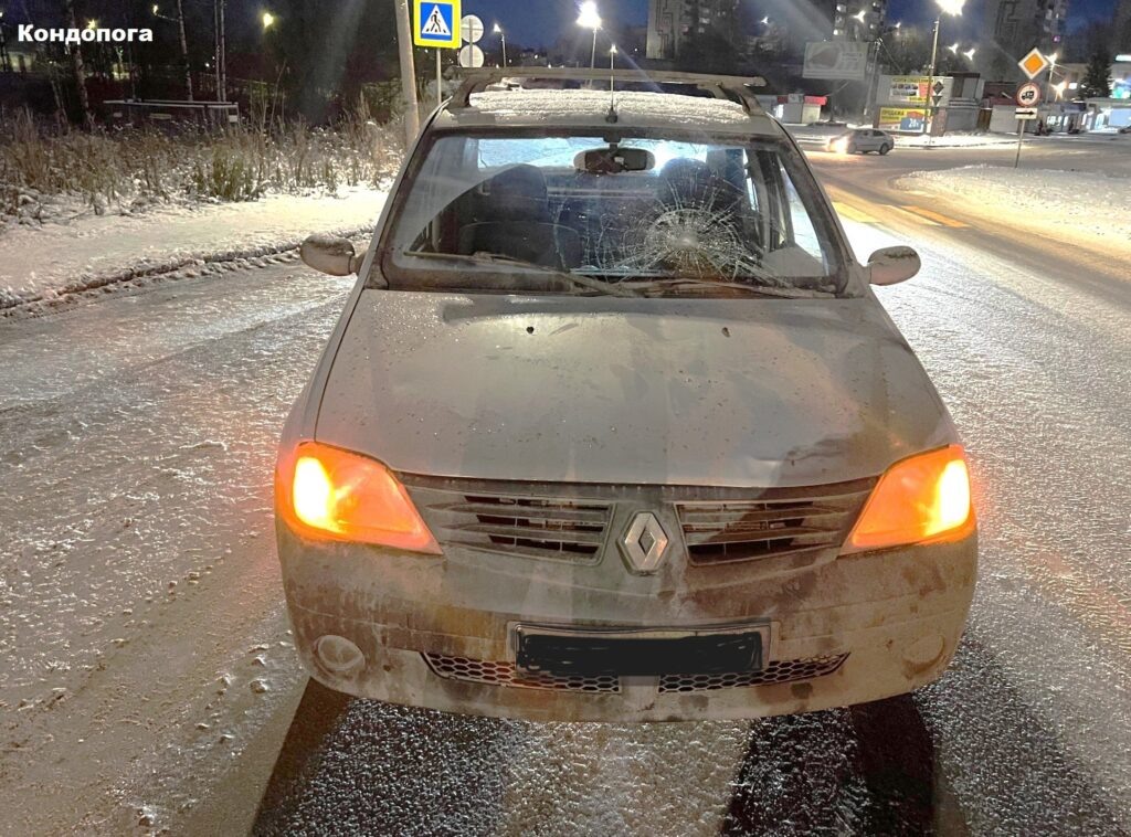    Фото: Госавтоинспекция Карелии / ВК