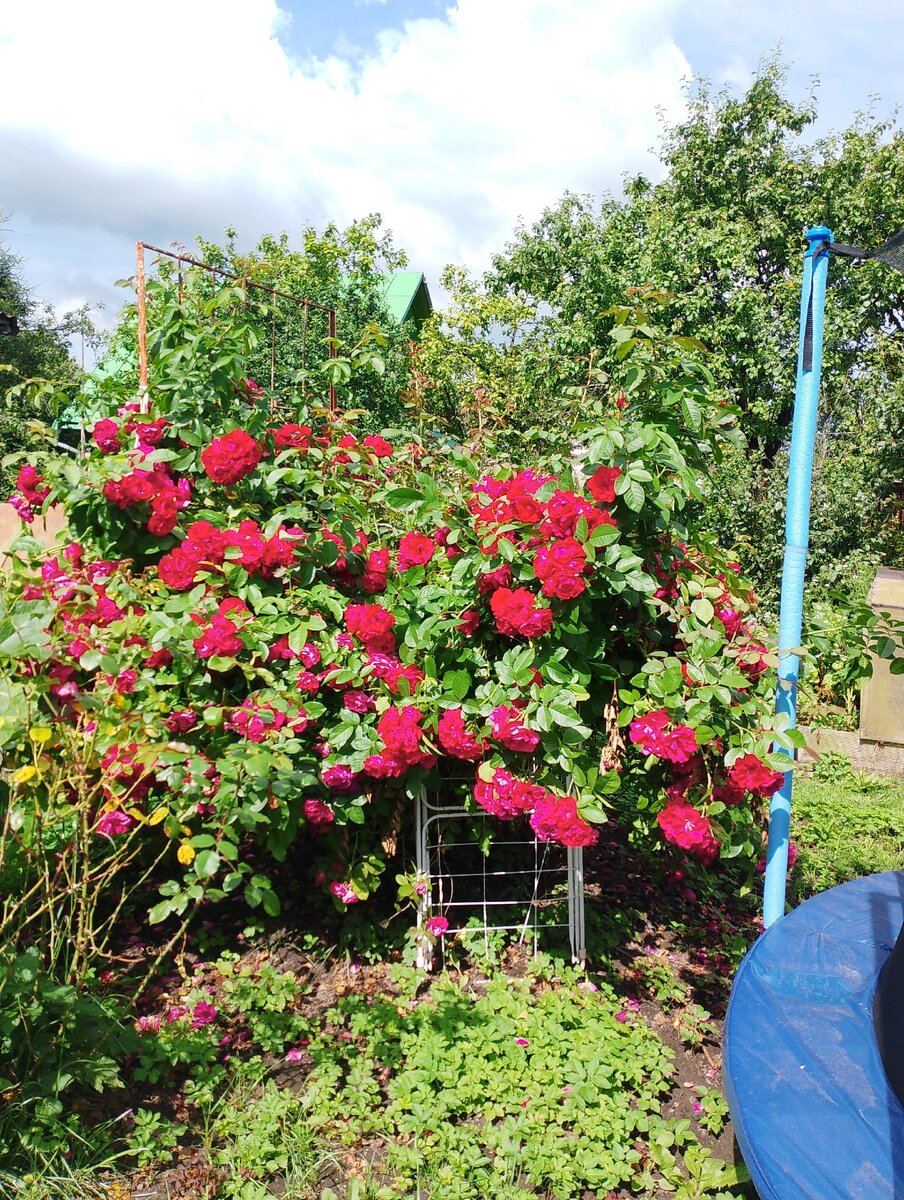 Фото автора.