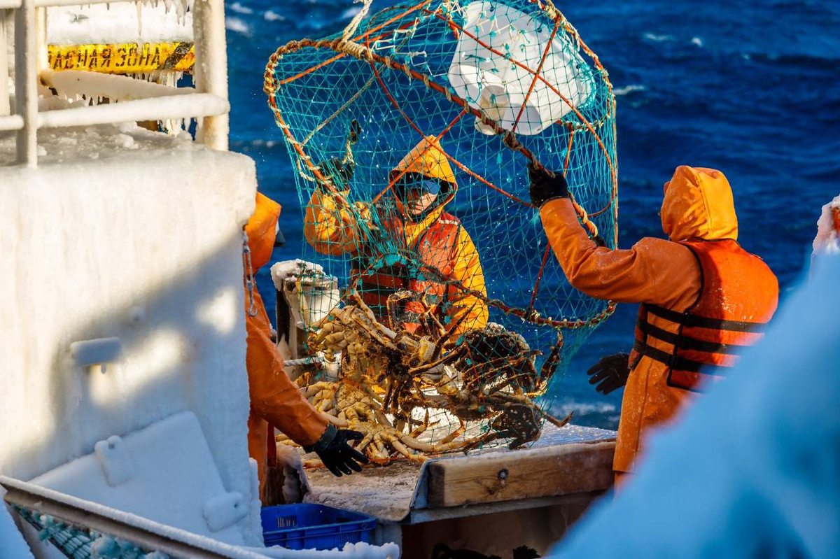 Фото из Telegram-канала ГК «Антей»