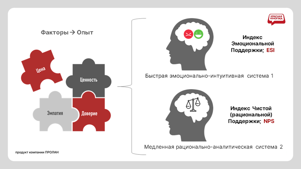 Эмоционально-интуитивная и рационально-аналитическая системы принятия решений