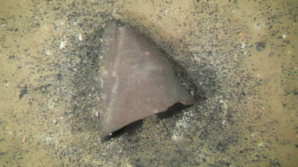     Фото: Nagahama city government and the Shiga prefectural government