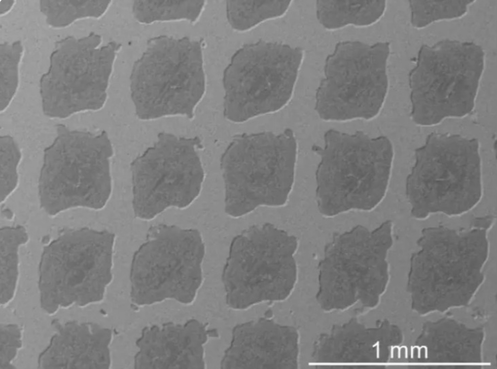 Фото: Chenwei Shao / University of Toronto Engineering