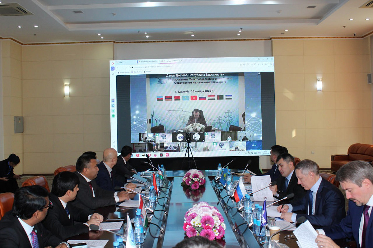 Заседание проходило в очно-дистанционном формате (фото - https://e-cis.info/)