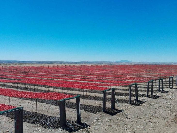 фото – группа ВК ЛЕТИМ в Тунис! 