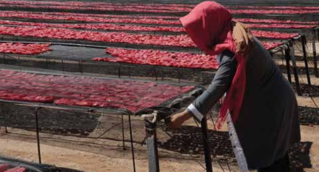 фото – группа ВК ЛЕТИМ в Тунис! 