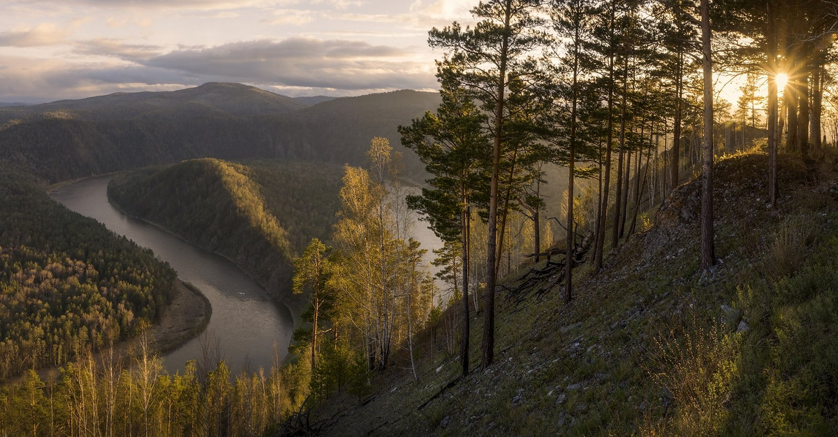 Дабы избежать миграционного кризиса: реки Сибири перенаправят в Ташкент
