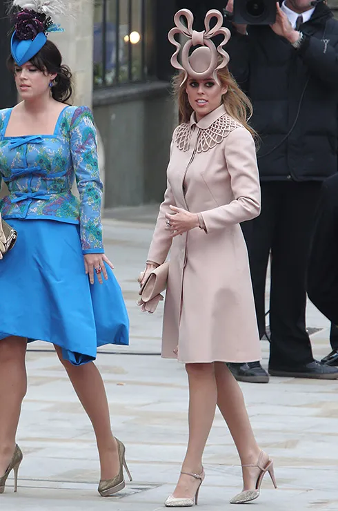 Фото из свободных источников.