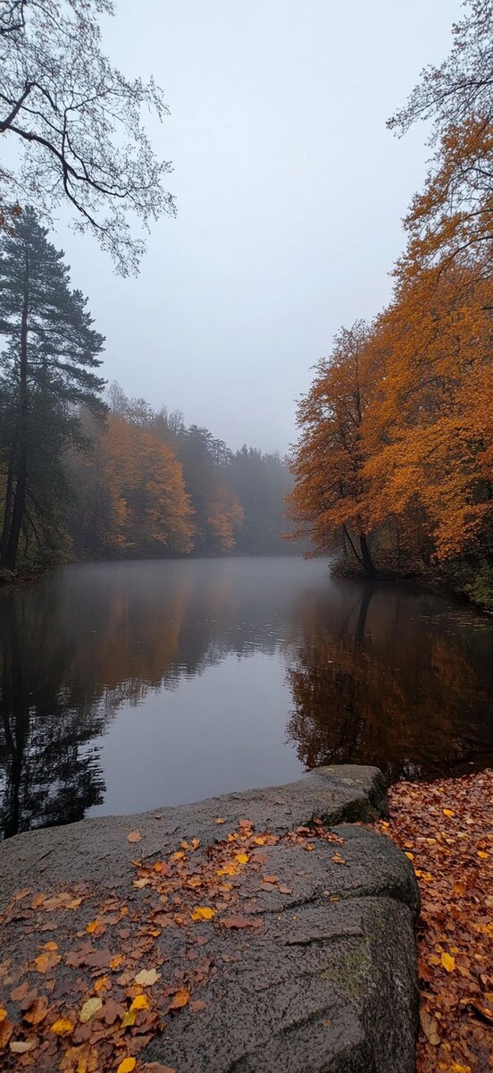 золотой час в золотую осень 