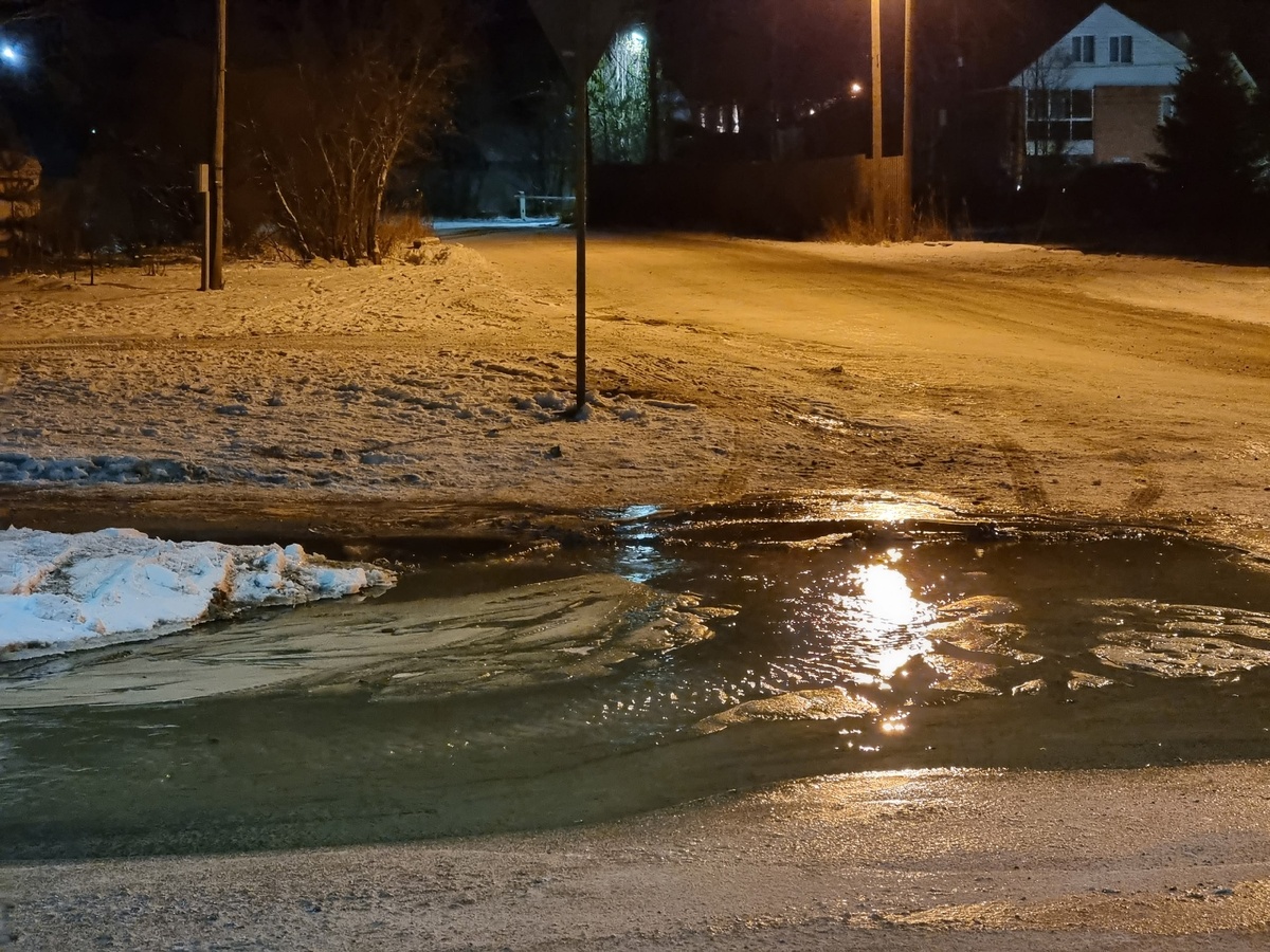    Ирина Яковлева