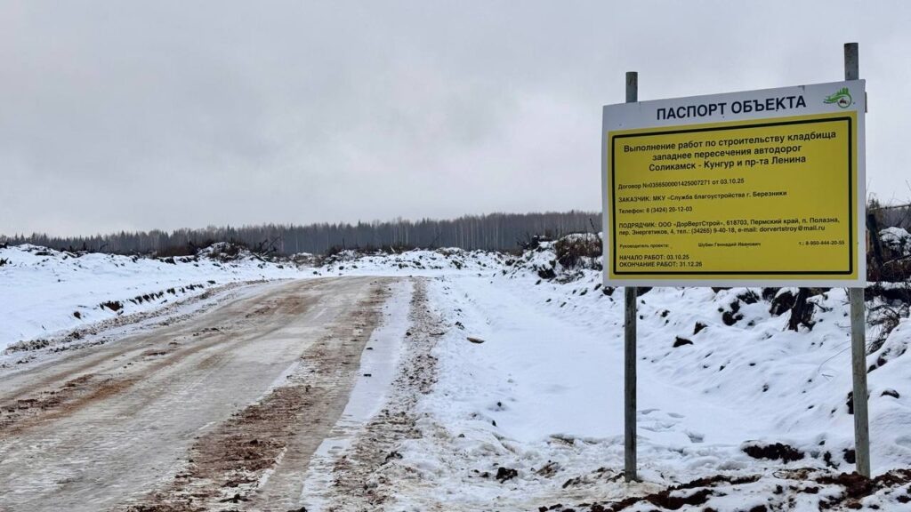    Фото: Глава Березников/ТГ Ульяна Бажанова
