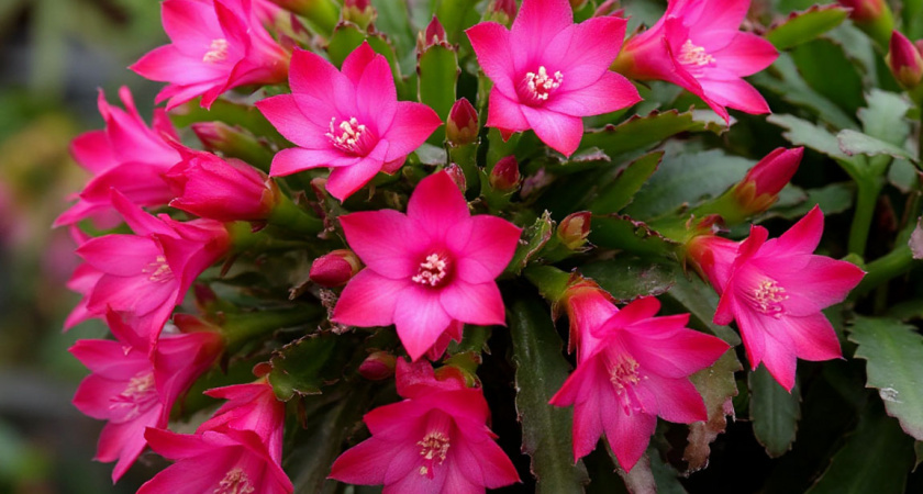    Создано в Шедевруме