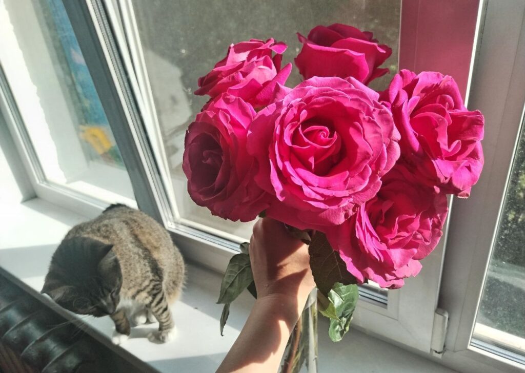    Фото: Полина Анкушина Иван Фистин