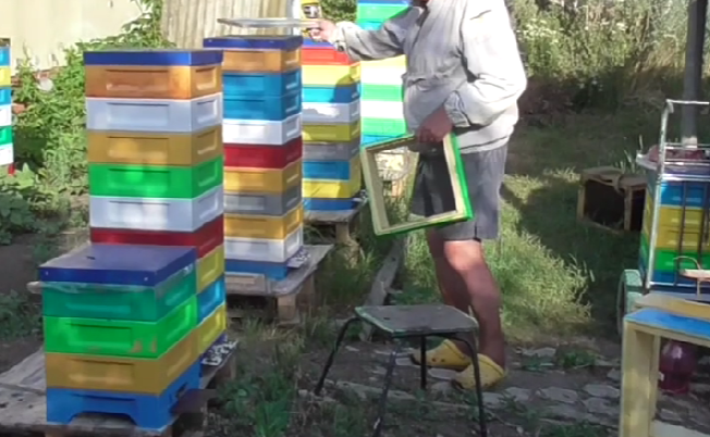 Альпийский улей из 9 корпусов