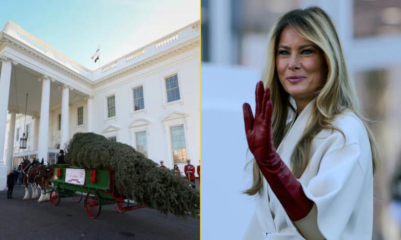    Источник: Getty Images | Мелания Трамп получила свою рождественскую елку