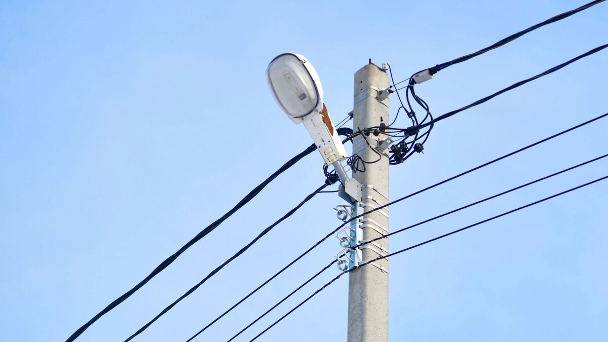    Фото: Андрей Ткачев / «Ямал-Медиа»