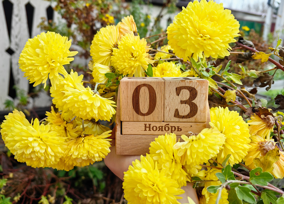 Ноябрь уж наступил... 