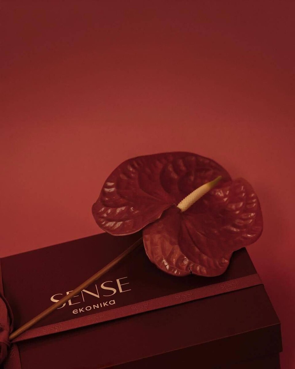    EKONIKA, Эконика, EKONIKA Sense, EKONIKA новая коллекция, Эконика новая коллекция, EKONIKA туфли, Эконика туфли, EKONIKA босоножки, Эконика босоножки, Алеся Кафельникова