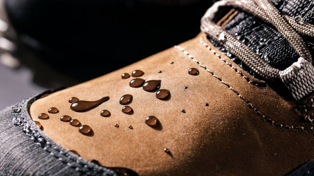    Фото: Shutterstock