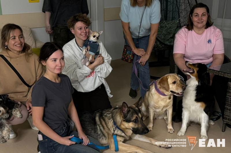    Сотрудники «Красок жизни» с собаками
