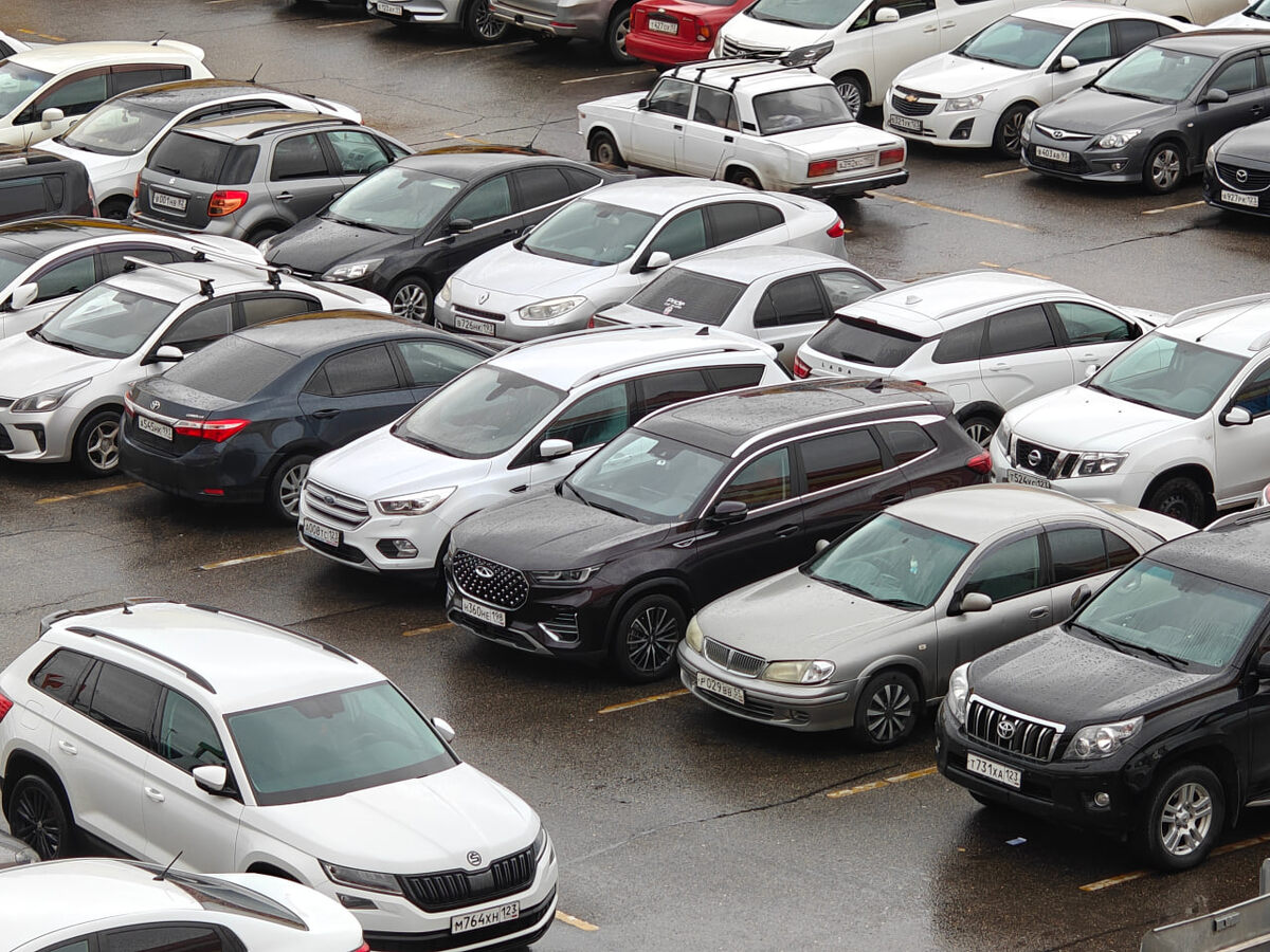    Фото: Юрий Серебренников/BFM Кубань