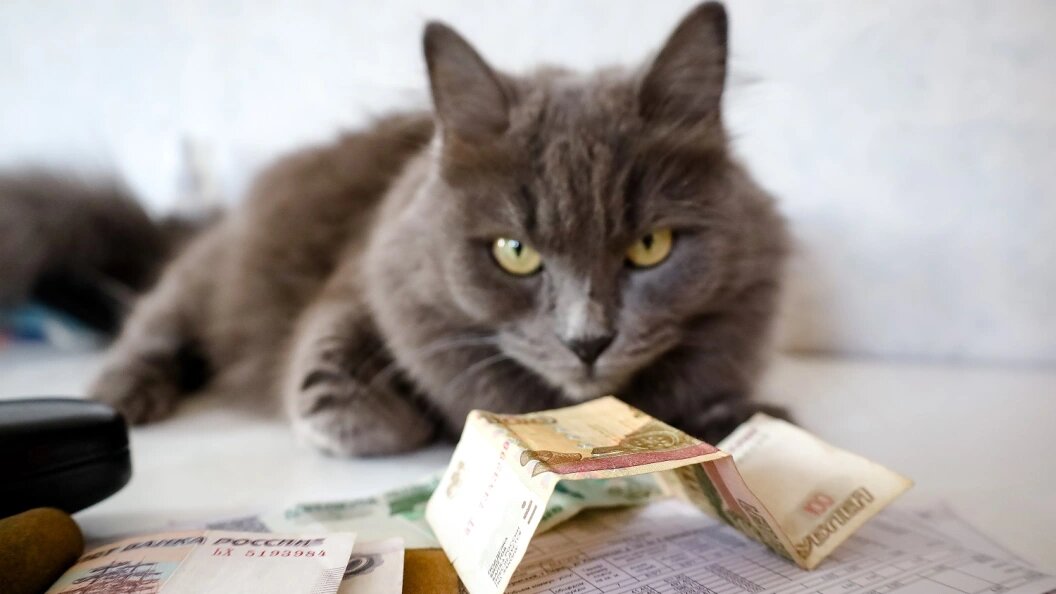    Elena Mayorova/Globallookpress