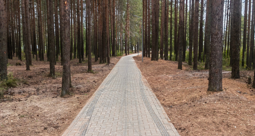    Фото Минстроя Коми