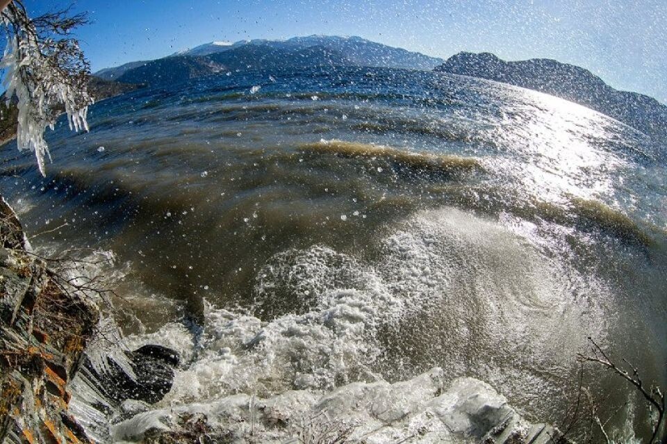    Волны на Телецком озере. Источник: Александр Лотов