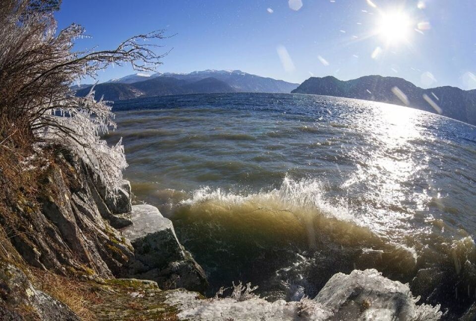    Волны на Телецком озере. Источник: Александр Лотов