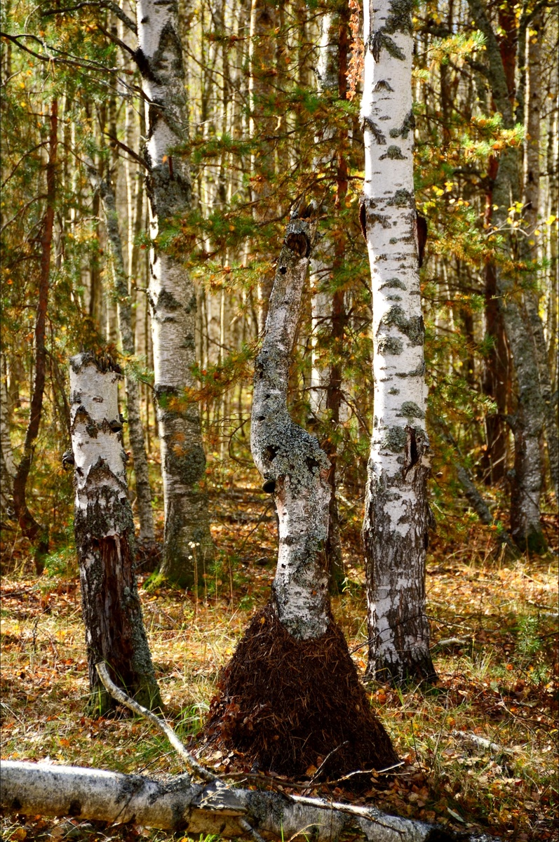 Фото во время прогулки.