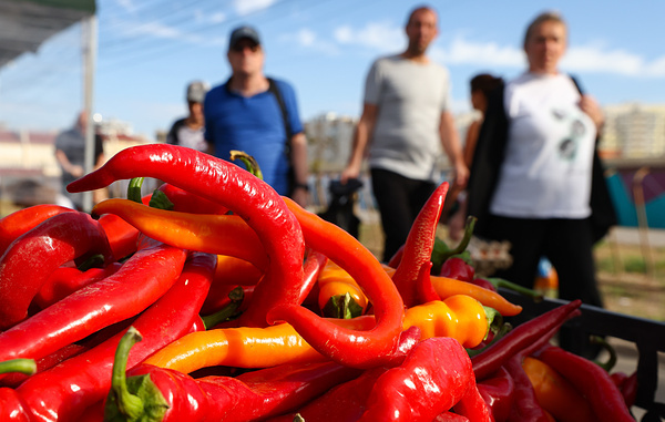 Сергей Мальгавко/ТАСС
