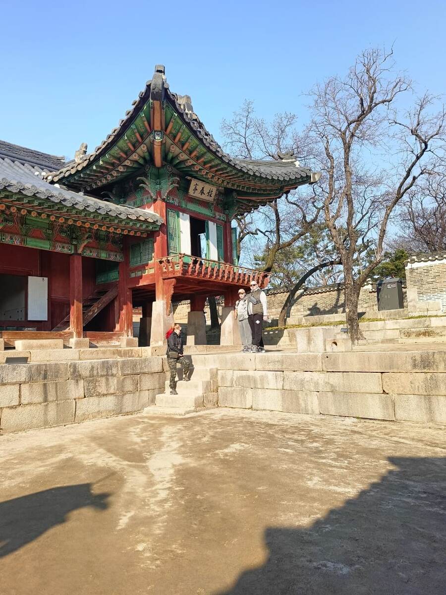 Ступени очень высокие