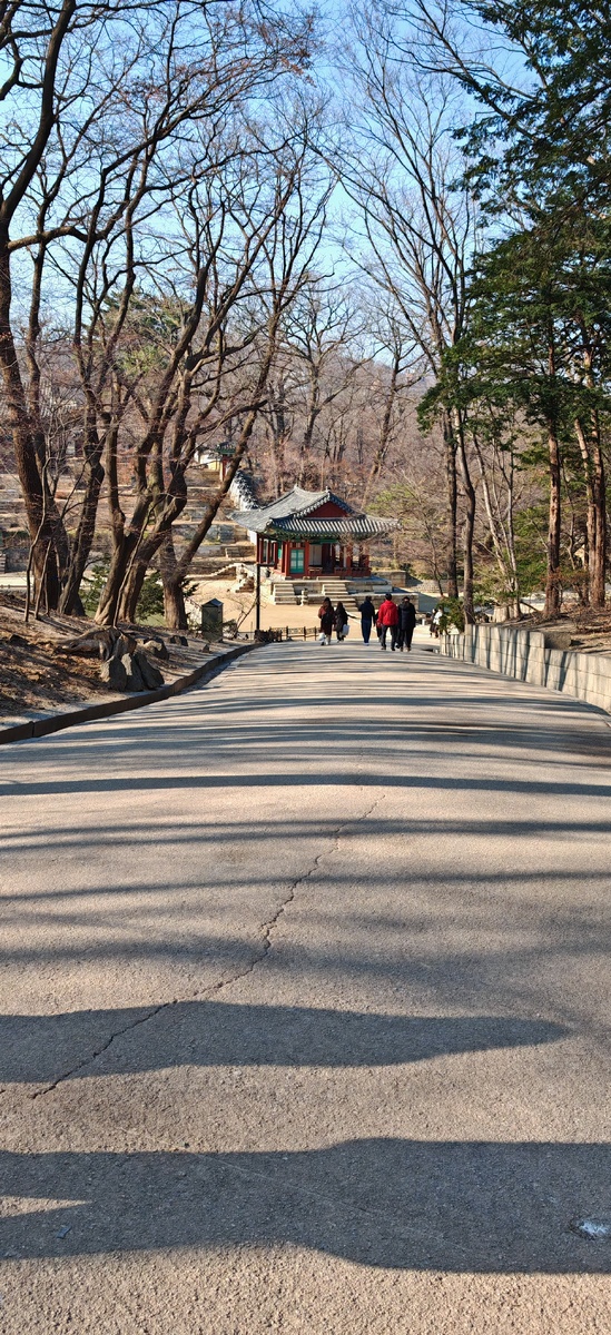 Корейские горки